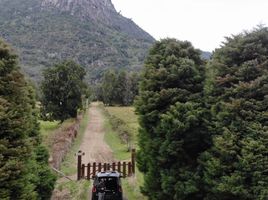  Terreno (Parcela) en venta en Chile, Futrono, Ranco, Los Ríos, Chile