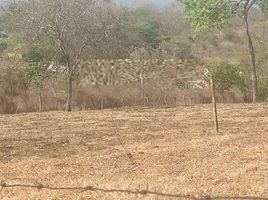  Land for sale in Guayaquil, Guayas, Guayaquil, Guayaquil, Guayas