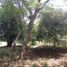  Land for sale in Tocaima Cundinamarca, Tocaima