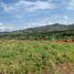  Land for sale in Valle Del Cauca, La Cumbre, Valle Del Cauca