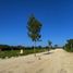  Land for sale in Muxupip, Yucatan, Muxupip