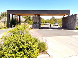  Terreno (Parcela) en venta en Colina, Chacabuco, Colina