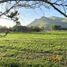  Terreno (Parcela) en venta en Colina, Chacabuco, Colina