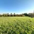  Terreno (Parcela) en venta en Colina, Chacabuco, Colina