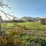  Terreno (Parcela) en venta en Colina, Chacabuco, Colina