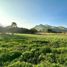  Terreno (Parcela) en venta en Colina, Chacabuco, Colina
