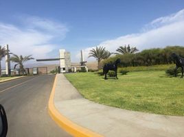  Terreno (Parcela) en venta en Asia, Lima, Asia