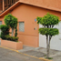 4 Schlafzimmer Haus zu verkaufen in Gustavo A Madero, Mexico City, Gustavo A Madero, Mexico City