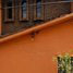 4 Schlafzimmer Haus zu verkaufen in Gustavo A Madero, Mexico City, Gustavo A Madero, Mexico City