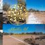  Land for sale in Soledad De Graciano Sanchez, San Luis Potosi, Soledad De Graciano Sanchez