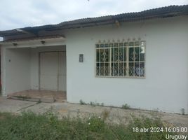  Terreno (Parcela) en venta en Zarumilla, Tumbes, Aguas Verdes, Zarumilla