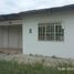  Land for sale in Zarumilla Tumbes, Aguas Verdes