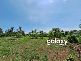  Grundstück zu vermieten in Blahbatu, Gianyar, Blahbatu