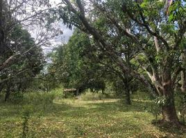  Land for sale in Batangas, Calabarzon, Rosario, Batangas