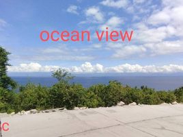  Land for sale in Badian, Cebu, Badian