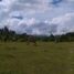  Land for sale in Badian, Cebu, Badian