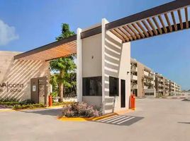 3 Bedroom Apartment for rent in Cozumel, Quintana Roo, Cozumel