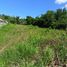  Land for sale in Panglao, Central Visayas, Panglao