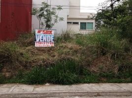 在Coatepec, Veracruz出售的 土地, Coatepec