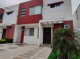 3 Bedroom House for rent in Samborondon, Guayas, Samborondon, Samborondon