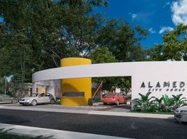 在Merida, Yucatan出售的3 卧室 公寓, Merida