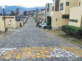 3 Habitación Casa en venta en Bicentenario Park, Quito, Quito, Quito