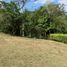  Land for sale in Cali, Valle Del Cauca, Cali