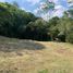  Land for sale in Cali, Valle Del Cauca, Cali