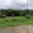  Land for sale in Cavite, Calabarzon, Alfonso, Cavite