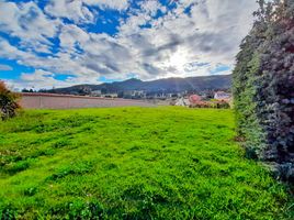  Terreno (Parcela) en venta en Combita, Boyaca, Combita