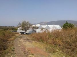 Grundstück zu verkaufen in Temixco, Morelos, Temixco