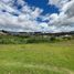  Land for sale in Loja, Loja, Loja, Loja, Loja