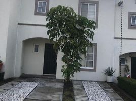 Appartement 3 chambre à louer à Queretaro, Queretaro, Queretaro, Queretaro