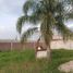  Terreno (Parcela) en venta en Xochitepec, Morelos, Xochitepec