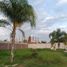  Terreno (Parcela) en venta en Xochitepec, Morelos, Xochitepec