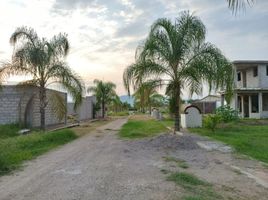  Terreno (Parcela) en venta en Xochitepec, Morelos, Xochitepec