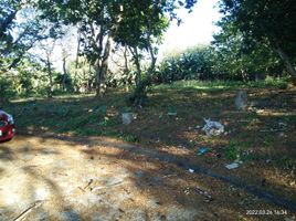  Terreno (Parcela) en venta en Calamba City, Calabarzon, Calamba City, Laguna