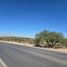  Land for sale in Zaragoza, San Luis Potosi, Zaragoza