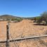  Land for sale in Zaragoza, San Luis Potosi, Zaragoza