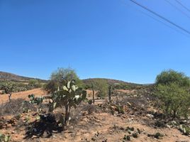  Land for sale in Zaragoza, San Luis Potosi, Zaragoza