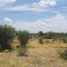  Land for sale in Doctor Gonzalez, Nuevo Leon, Doctor Gonzalez
