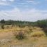  Land for sale in Doctor Gonzalez, Nuevo Leon, Doctor Gonzalez