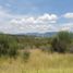 Land for sale in Doctor Gonzalez, Nuevo Leon, Doctor Gonzalez