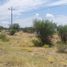  Land for sale in Doctor Gonzalez, Nuevo Leon, Doctor Gonzalez