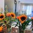 4 Bedroom House for sale in Quezon City, Metro Manila, Quezon City, Eastern District, Metro Manila