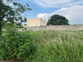  Terreno (Parcela) en venta en Las Pinas City, Metro Manila, Las Pinas City, Southern District, Metro Manila