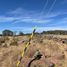  Land for sale in Chapa De Mota, Mexico, Chapa De Mota