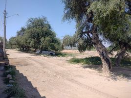  Land for sale in Soledad De Graciano Sanchez, San Luis Potosi, Soledad De Graciano Sanchez