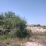  Land for sale in Soledad De Graciano Sanchez, San Luis Potosi, Soledad De Graciano Sanchez