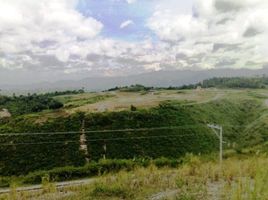 Terrain à vendre à Talisay City, Central Visayas, Talisay City